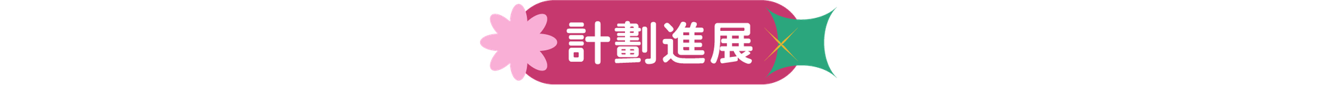 計劃進展