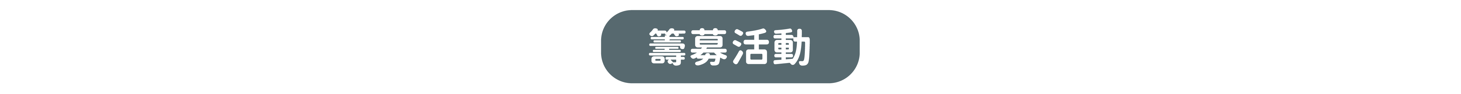 籌募活動