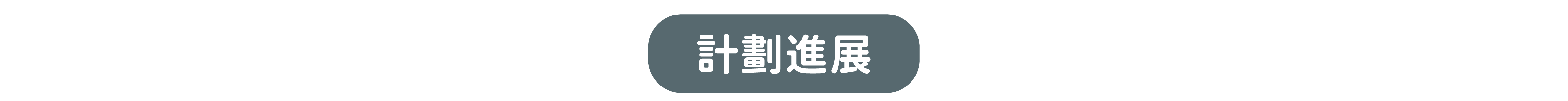 計劃進展