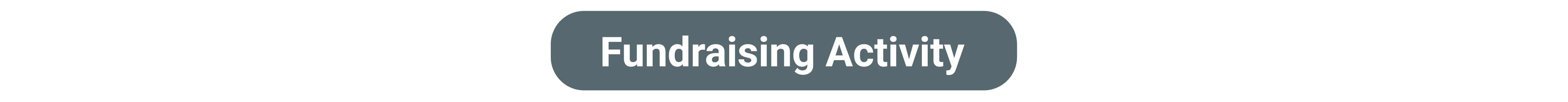 Fundraising Activity
