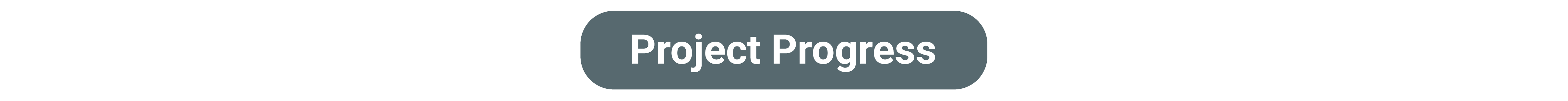 Project Progress