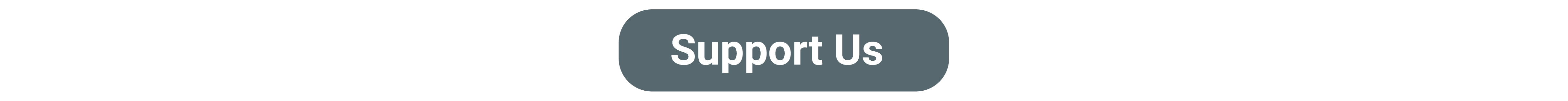 Support Us